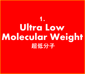 ultra low molecular weight fucoidan 超低分子フコイダン